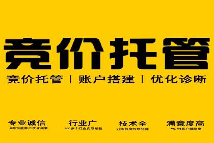 案例分析：SEM竞价代运营策略优化